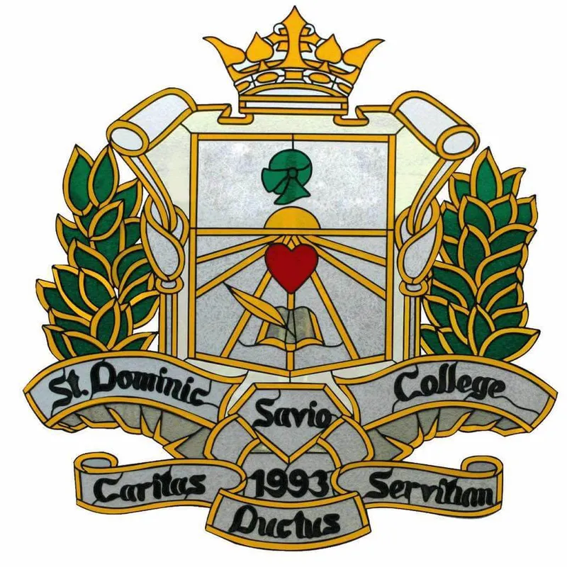 圣多米克沙维奥学院