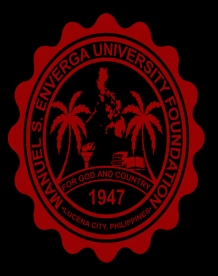 曼纽安佛各大学卢塞纳校区